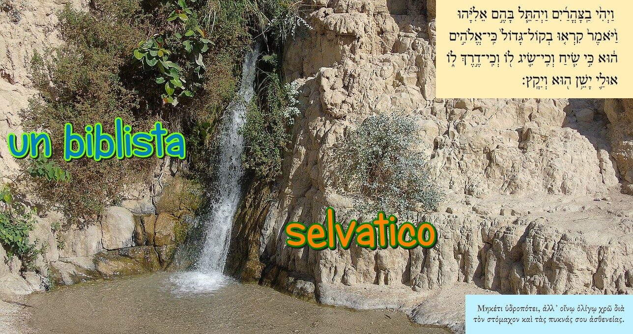 Un biblista selvatico